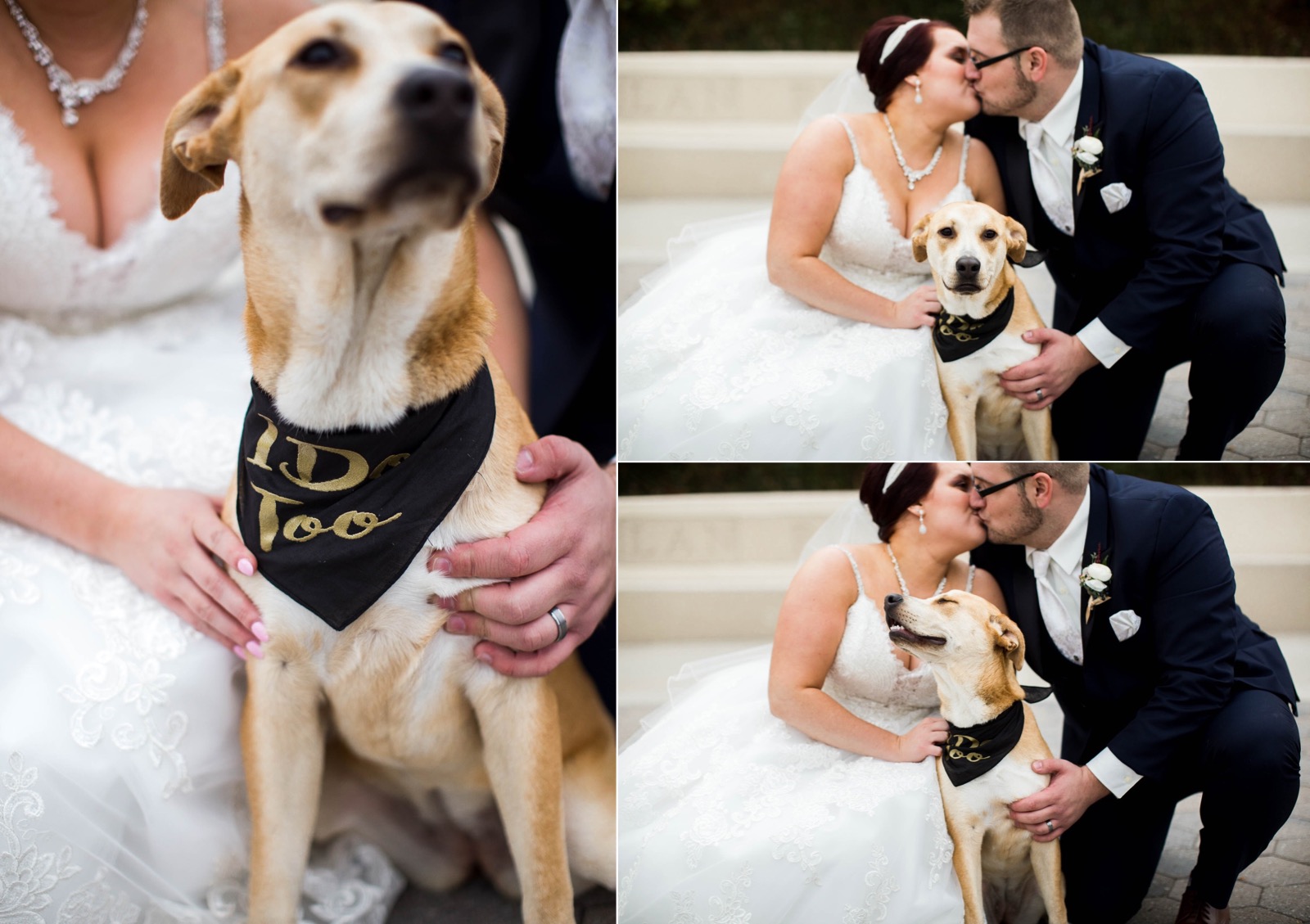 35_wedding_with_pets